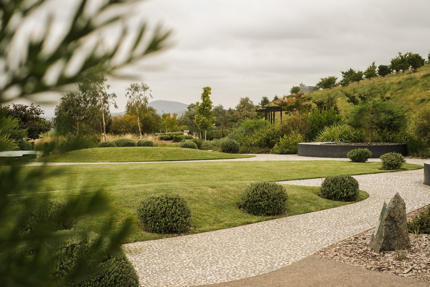 5 Ideias de Paisagismo Sustentável para Sua Casa