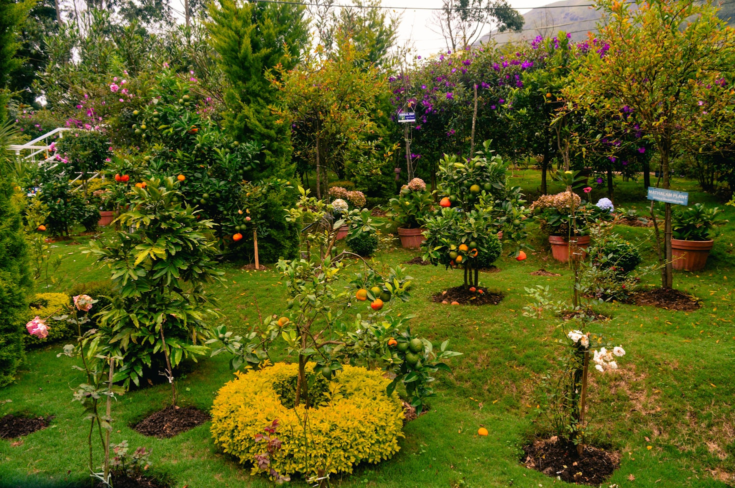 A Importância da Jardinagem Agroecológica nos Dias de Hoje